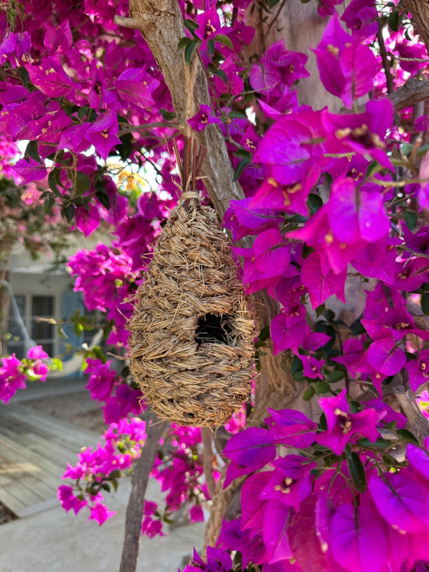 San Francisco Javier Casa Magaliヴィラ エクステリア 写真